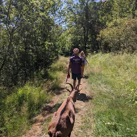 Le Balcon Des Raspes