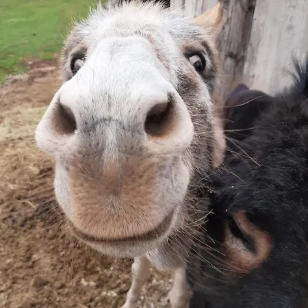 Le Balcon Des Raspes * Saint-Victor-et-Melvieu