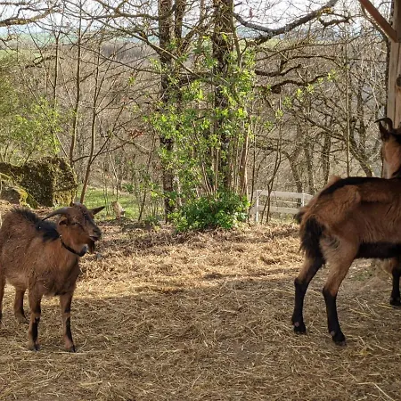 キャンプ場 Le Balcon Des Raspes *