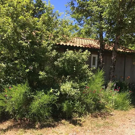 キャンプ場 Le Balcon Des Raspes *